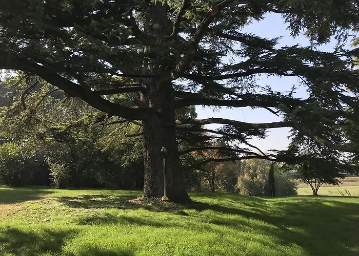 Benciolini Сasa de vacaciones