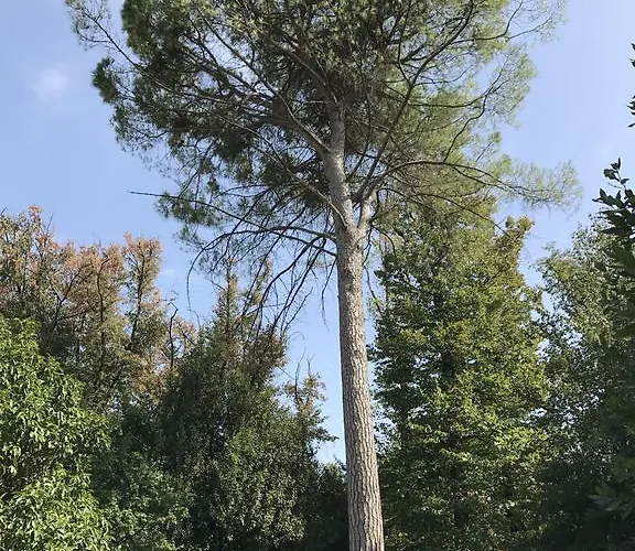 Benciolini Сasa de vacaciones Colà