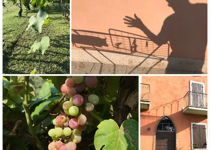 Benciolini Сasa de vacaciones Colà