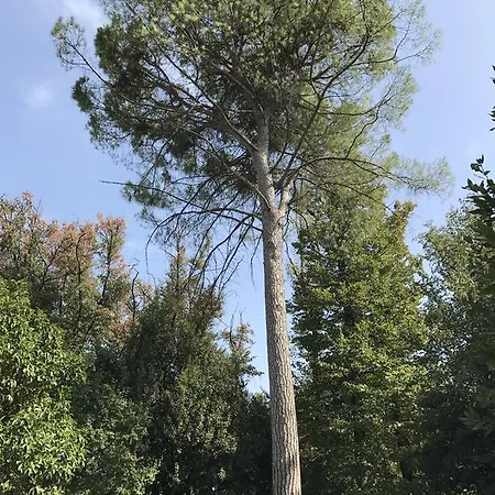 Benciolini Vakantiehuis Colà