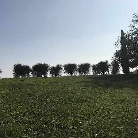 Benciolini Colà
