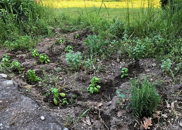 Benciolini Holiday home *