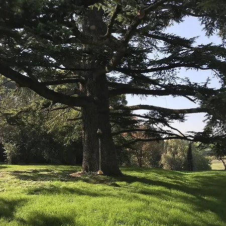 Benciolini Semesterbostad