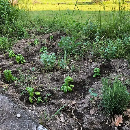 Benciolini Ferienhaus *