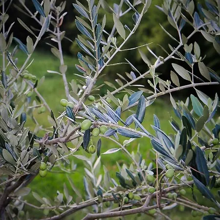Benciolini Ferienhaus Colà